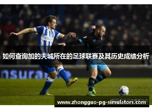 如何查询加的夫城所在的足球联赛及其历史成绩分析