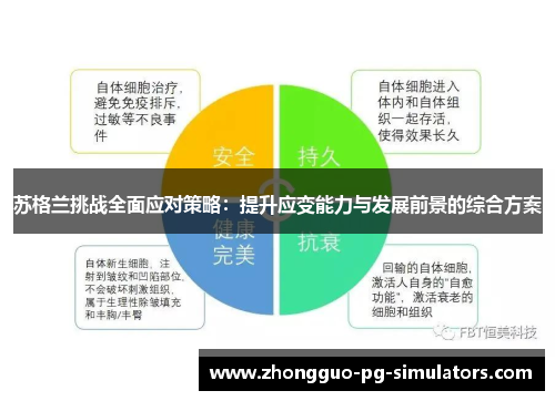 苏格兰挑战全面应对策略：提升应变能力与发展前景的综合方案