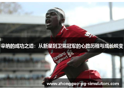 辛纳的成功之道：从新星到卫冕冠军的心路历程与成长蜕变